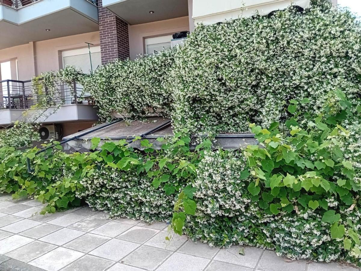 شقة Stella'S Jasmine سالونيك المظهر الخارجي الصورة